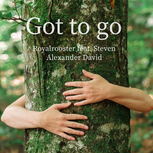 Got to Go (feat. Steven Alexander David) cover art