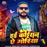 Hai Koiran Ye Goriya