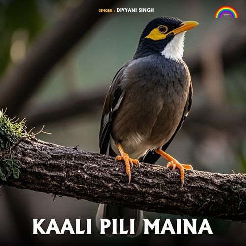 Kaali Pili Maina