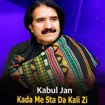 Kada Me Sta Da Kali Zi