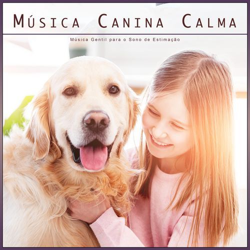 Música Para Cães Adormecidos cover art