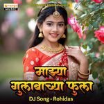 Mazya Gulabachya Fula DJ Rohidas