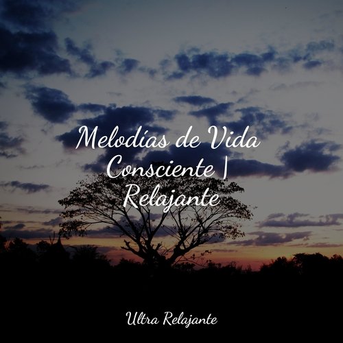 Ligereza Y Suavidad cover art