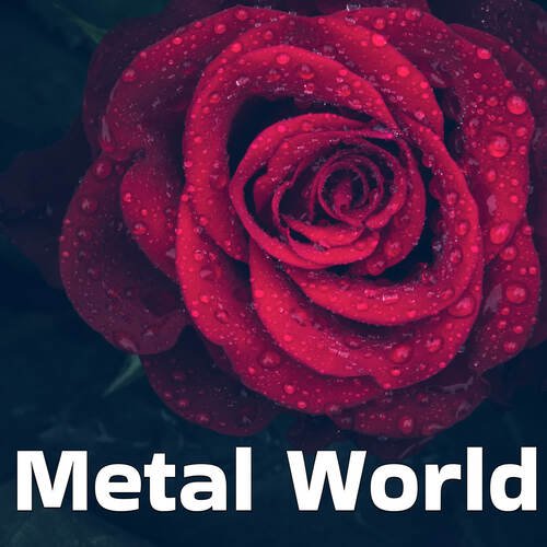 Metal World