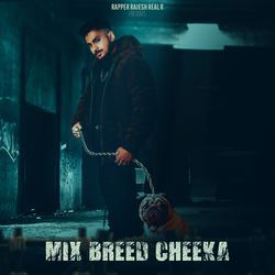 Mix Breed Cheeka-PQ4cXBZGdXc