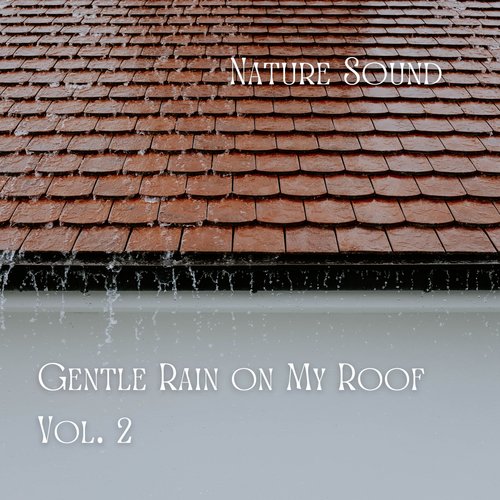 Nature Sound: Gentle Rain on My Roof Vol. 2_poster_image