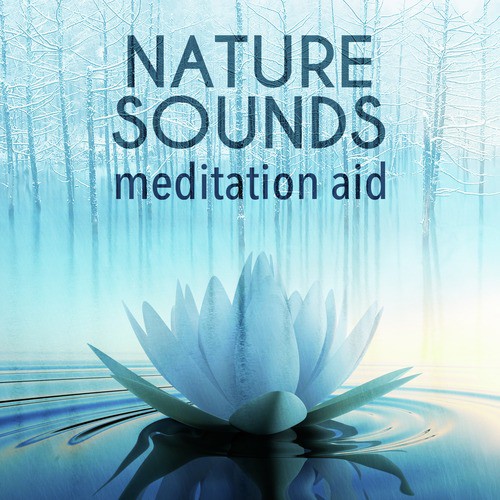 Nature Sounds Meditation Aid_poster_image