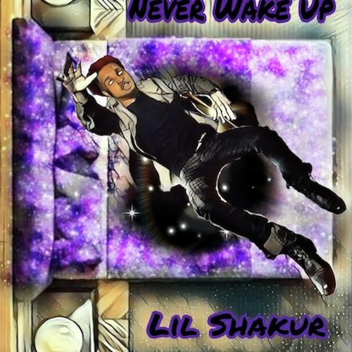 Never Wake Up_poster_image