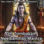 Om Trimbakam Neelkanthay Mantra