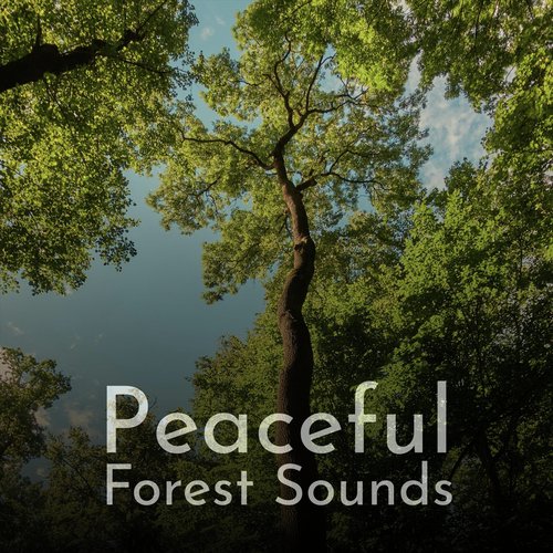 Water, Birds and Distant People Near a Lake's Edge cover art