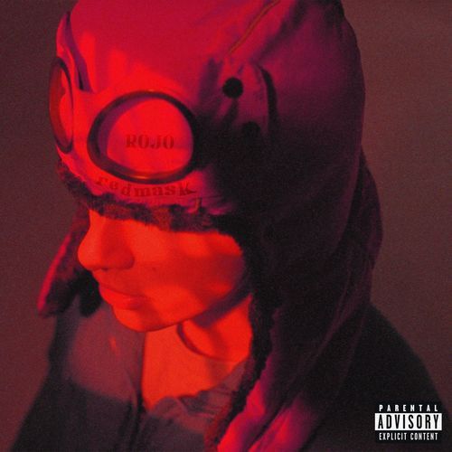 PAZ MENTAL cover art