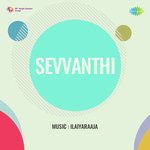 Sevvanthi