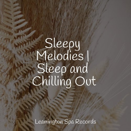 Sleepy Melodies | Sleep and Chilling Out