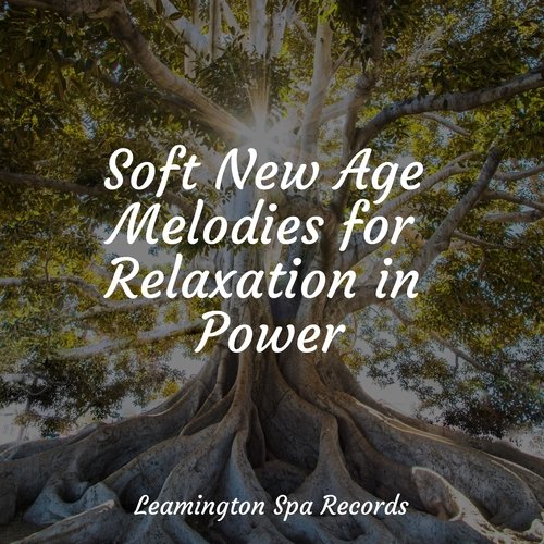 Soft New Age Melodies for Relaxation in Power