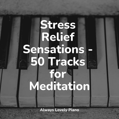 Stress Relief Sensations - 50 Tracks for Meditation