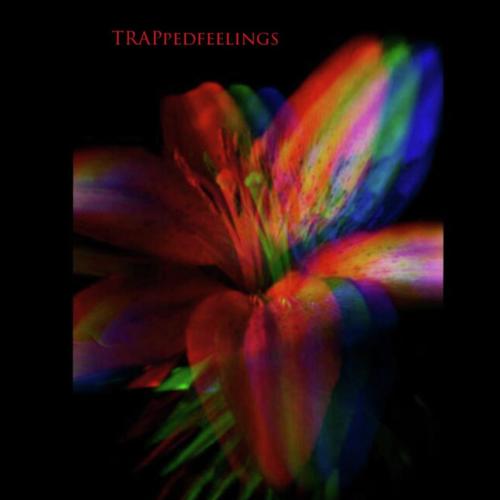 travis cover art
