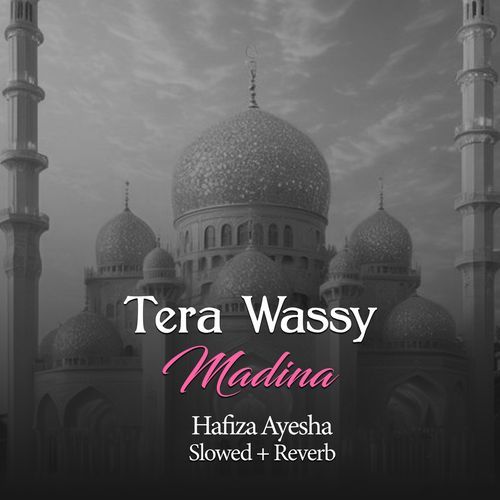 Tera Wassy Madina (Lofi-Mix)