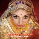 Teri dubal Haveli Raja