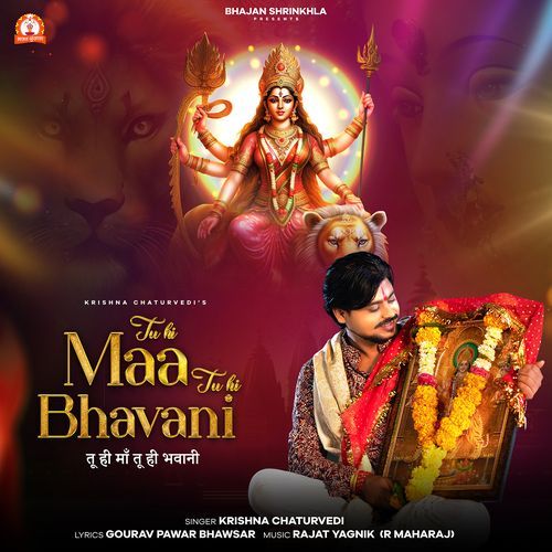 Tu Hi Maa Tu Hi Bhavani_poster_image