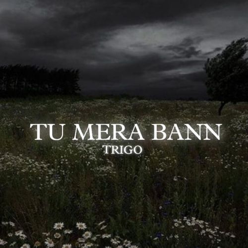 Tu Mera Bann_poster_image