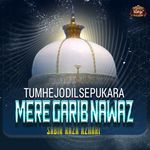 Tumhe Jo Dil Se Pukara Mere Garib Nawaz