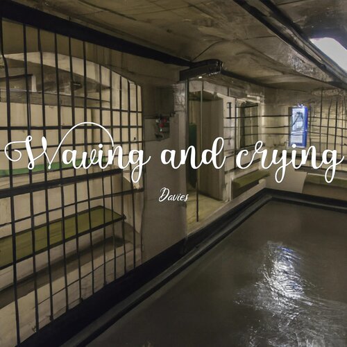 Waving and Crying_poster_image