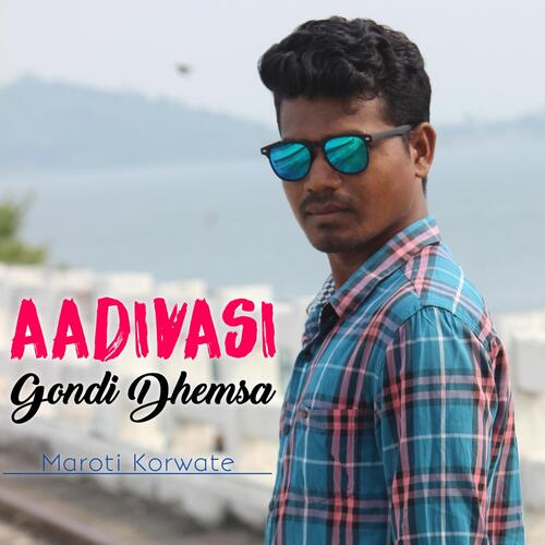 Aadivasi Gondi Dhemsa