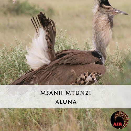 Aluna cover art