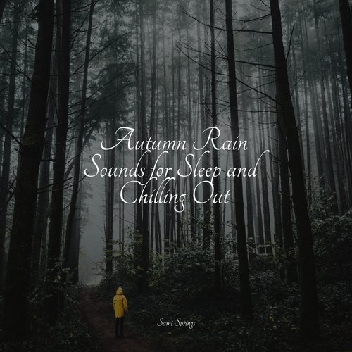 Autumn Rain Sounds for Sleep and Chilling Out_poster_image