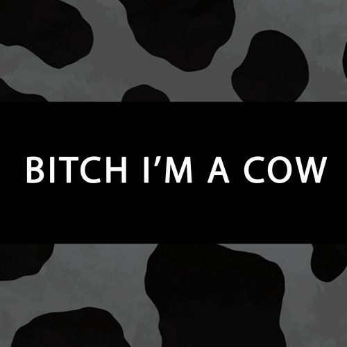 Bitch I'm a Cow_poster_image