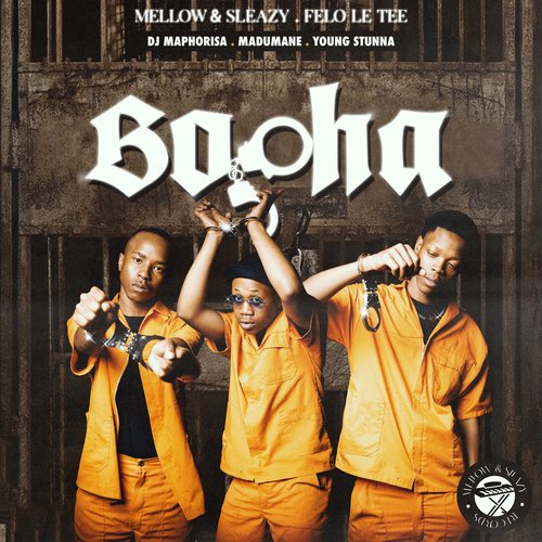 Bopha_poster_image