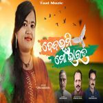 Debabhumi Mo Bharata