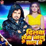 Dilwa Leja Naya Sal Me