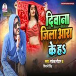 Diwana Jila Ara Ke Ha