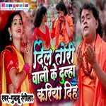 Dulha Kariya Diha