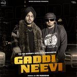 Gaddi Neevi (Remix)