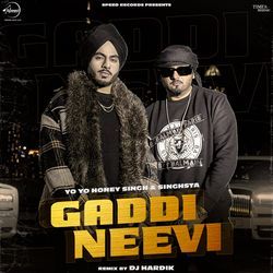 Gaddi Neevi (Remix)