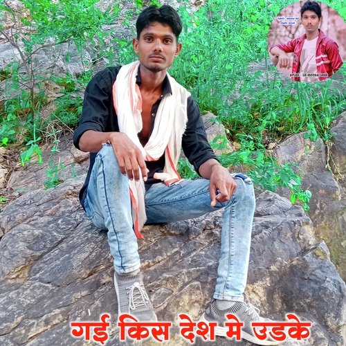 gai kis desh me udakai (Meenawati new song)
