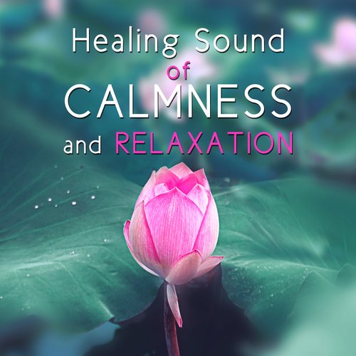 Calming Sanctuary: Serenity Music cover art