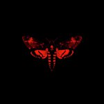 I Am Not A Human Being II (Deluxe)