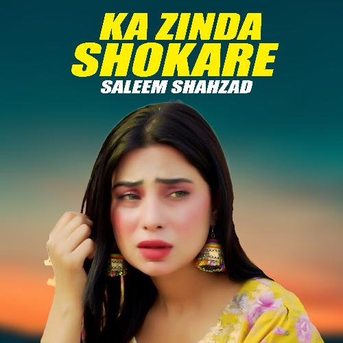 Ka Zinda Shokare