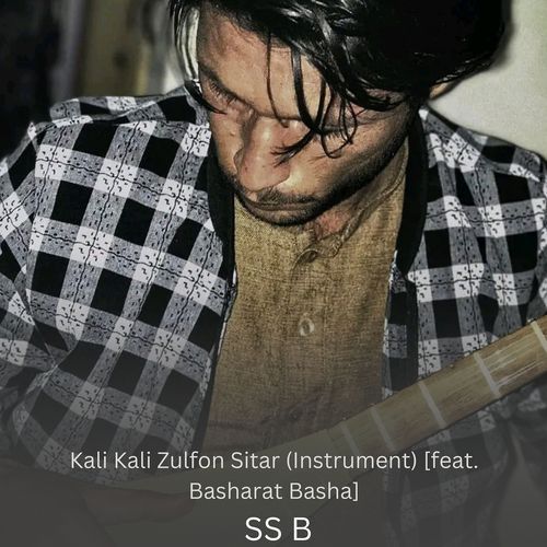 Kali Kali Zulfon Sitar (Instrument)