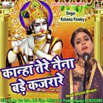 Kanha Tere Naina Bade Kajrare (Krishn bhajan)