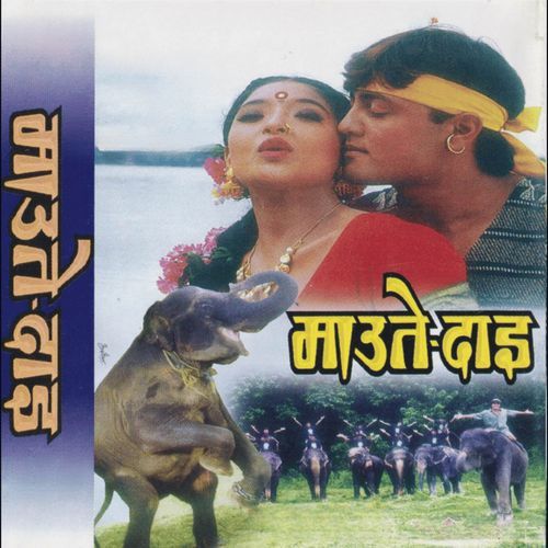 MAUTE DAI