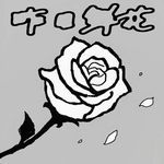 昨日鲜花