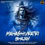 Hamare Saath Bholenath To Kis Baat Ki Chinta