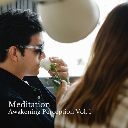 Hi-Frequency Meditation cover art