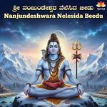 Nanjundeshwara Nelesida Beedu