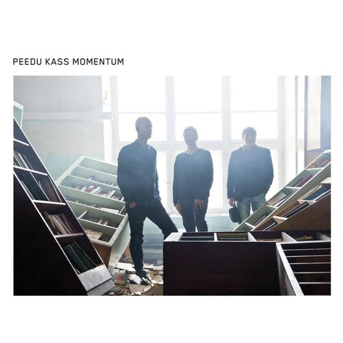 Peedu Kass Momentum_poster_image