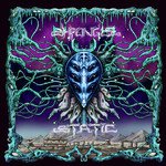 Pharaoh (Shpongle Static Mix, Live)